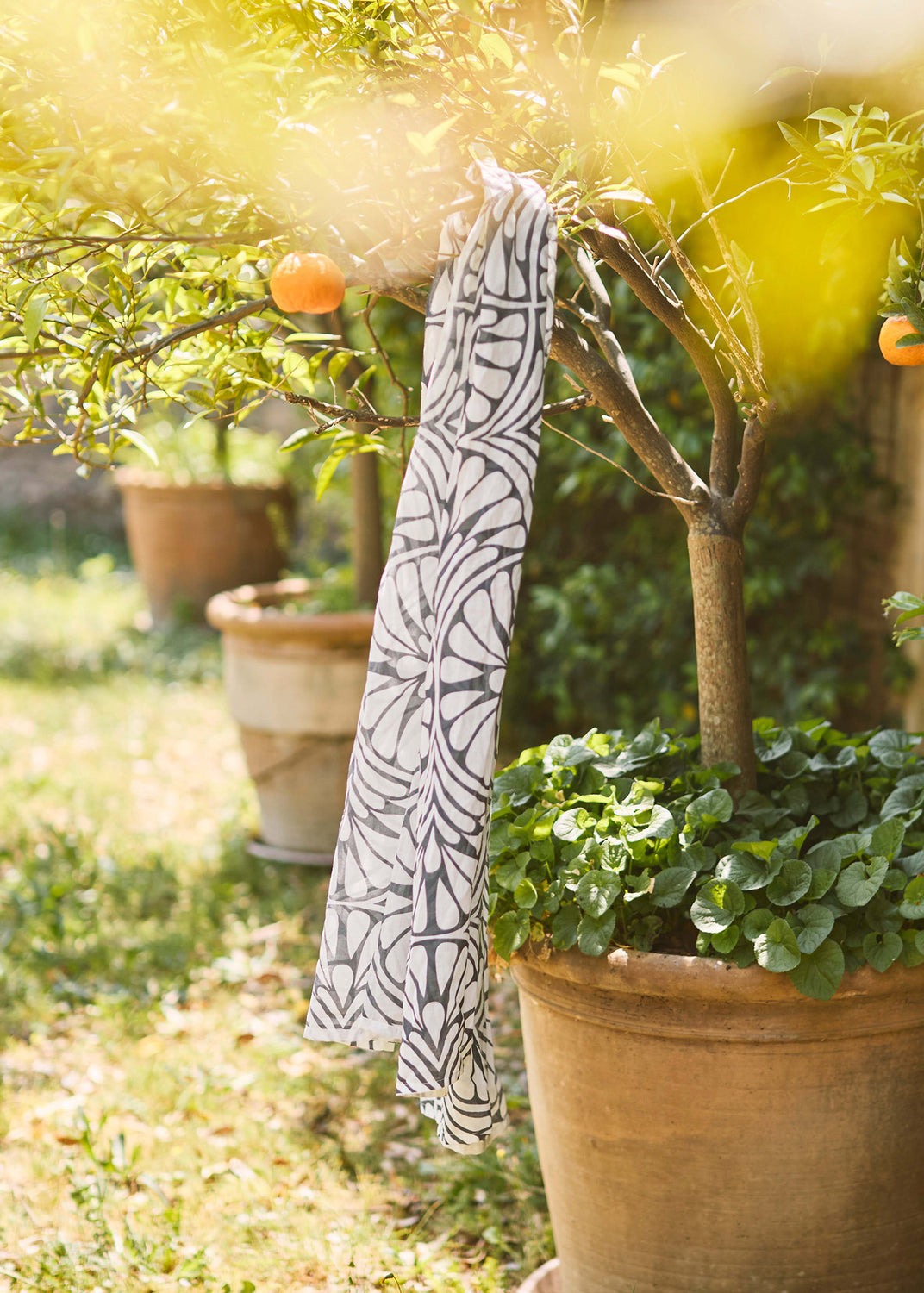 Blue palm print scarf draped over a citrus tree in a sunlit Mediterranean garden setting.