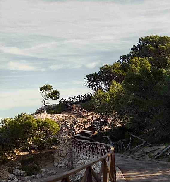 A scenic outdoor pathway with wooden stairs and railings winding through rocky terrain and green trees under a cloudy sky.